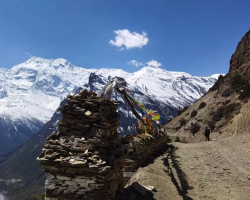 Annapurna Gay Hiking